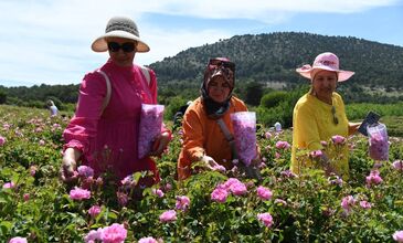 29-31 MAYIS 2026 ISPARTA GÜLLER ZAMANI TURU 1.ARAÇ