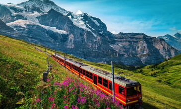 AVRUPA'NIN DOĞA CENNETİ İSVİÇRE TURU