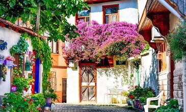 TRİLYE-MUDANYA-CUMALIKIZI-SAKARYA-ORMANYA-MAŞUKİYE-BURSA TURU