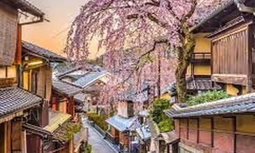 SAKURA ZAMANI JAPONYA-GÜNEY KORE TURU