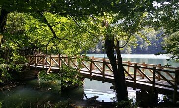 20-22 MART 2026 ABANT & YEDİGÖLLER & GÖLCÜK&ORMANYA&MAŞUKİYE&BURSA TURU