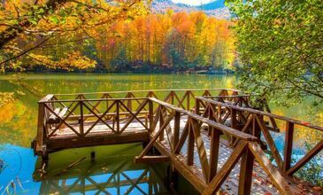 17-19 NİSAN 2026 ABANT & YEDİGÖLLER & GÖLCÜK&ORMANYA&MAŞUKİYE&BURSA TURU