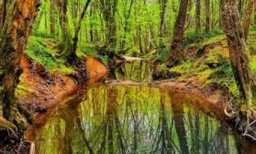 BAMBAŞKA MUHTEŞEM TRAKYA TURLARI
