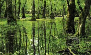 BAMBAŞKA MUHTEŞEM TRAKYA TURLARI
