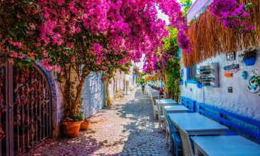 10 MAYIS 2026 URLA-ÇEŞME-ALAÇATI-SIĞACIK TURU