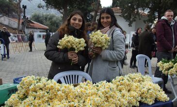 16 OCAK 2027 KARABURUN NERGİS FESTİVALİ